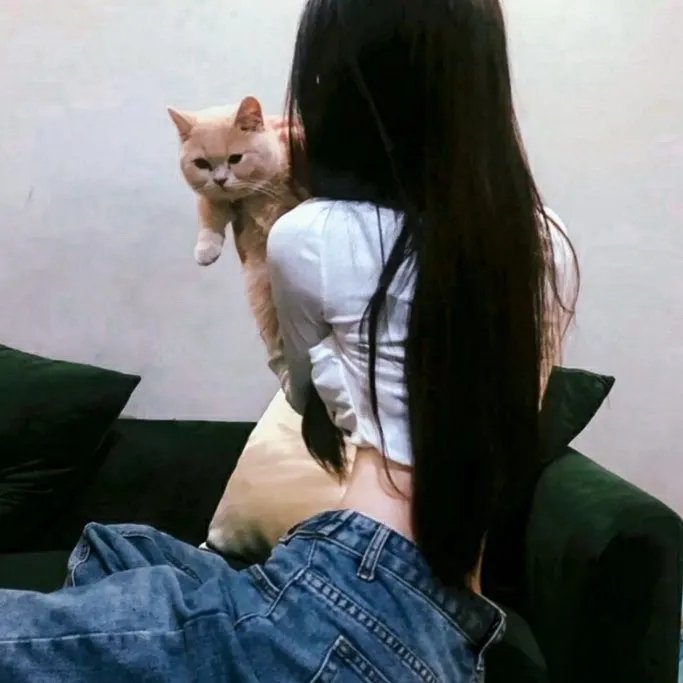 猛撞之躯