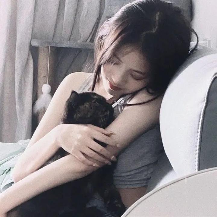 瘦虎肥龙